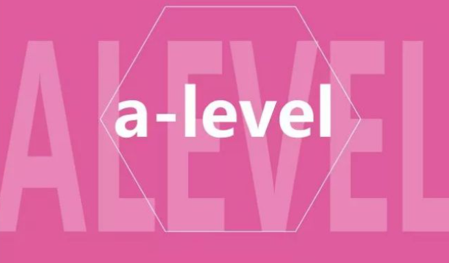 A-Level一對(duì)一課程