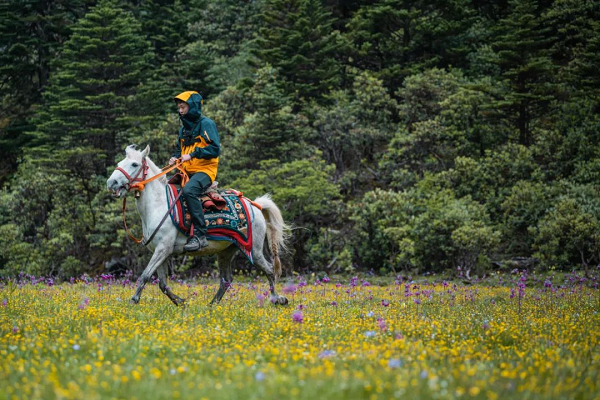 樂亦思托福首位滿分學(xué)員現(xiàn)身，他的成功秘訣究竟是什么?